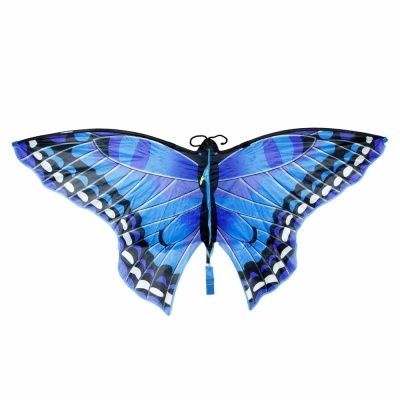 Воздушный змей Бабочка 1Toy Т23065 01